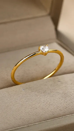 ANEL DE AÇO INOXIDAVEL - ALICE