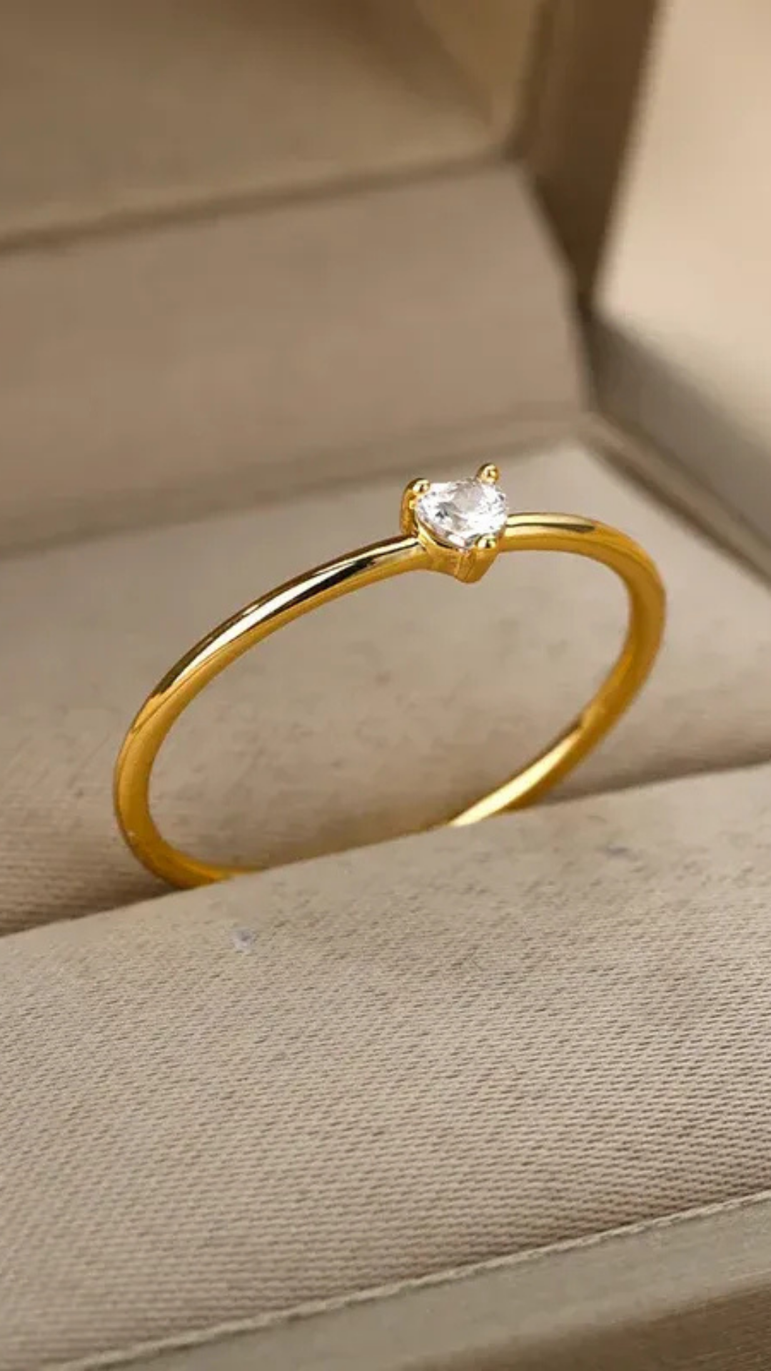 ANEL DE AÇO INOXIDAVEL - ALICE