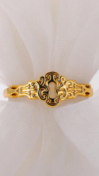 ANEL DE AÇO INOXIDAVEL - VENUS