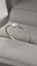 ANEL DE AÇO INOXIDAVEL - ALICE