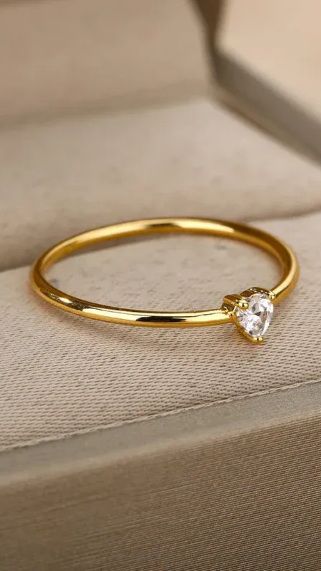 ANEL DE AÇO INOXIDAVEL - ALICE